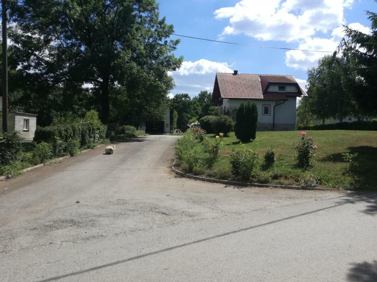 Apartman Jasmin Lägenhet Čatrnja Exteriör bild