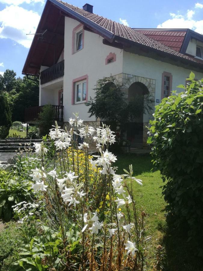 Apartman Jasmin Lägenhet Čatrnja Exteriör bild